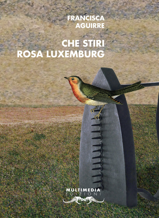 Che stiri Rosa Luxemburg